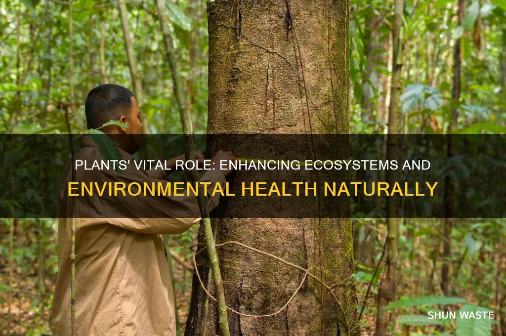 what are plants good for the environment