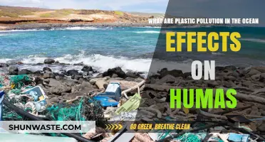 Plastic Pollution: Ocean's Impact on Human Health