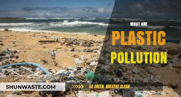 Plastic Pollution: A Global Crisis