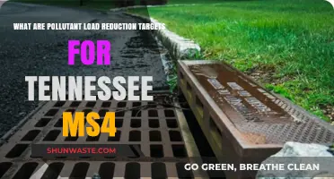 Tennessee MS4: Reducing Pollution Loads