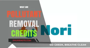 Understanding Pollutant Removal Credits and Their Benefits