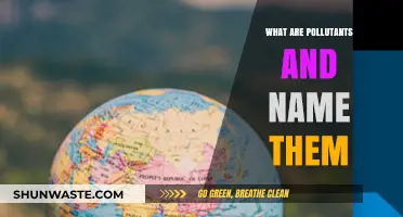 Air, Water, and Soil Pollutants: What Are They?