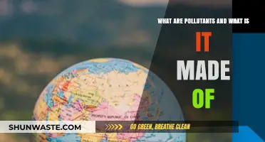 Understanding Pollutants: Their Nature and Harmful Composition