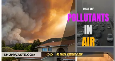 Air Pollutants: Understanding the Invisible Danger Around Us