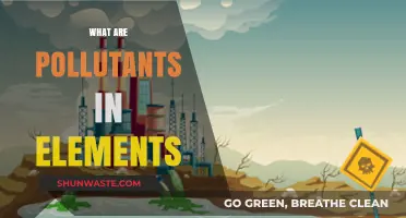 Elements and Pollutants: A Toxic Mix