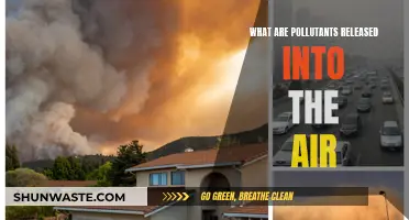 Air Pollutants: What's Being Released into Our Atmosphere?