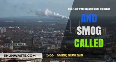 Airborne Toxins: Understanding Ozone and Smog