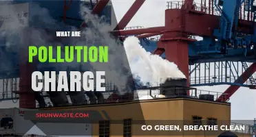 How Pollution Charges Work