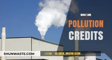 Understanding Pollution Credits: A Market-Based Solution