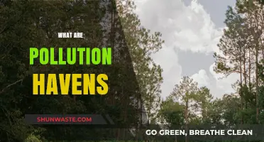 The Dark Side of Pollution Havens