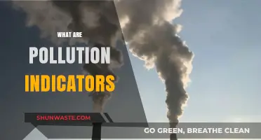 Indicators of Pollution: Tracking Environmental Health