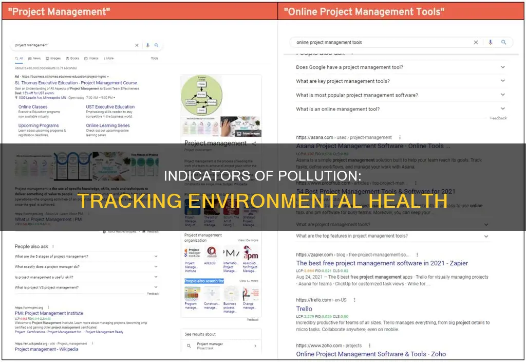 what are pollution indicators