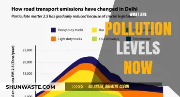 Pollution Levels: Current State of Our Environment