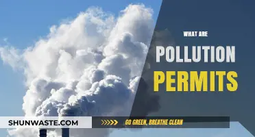 Understanding Pollution Permits: A Necessary Evil?
