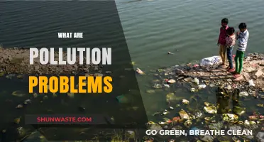 Pollution Problems: A Global Crisis
