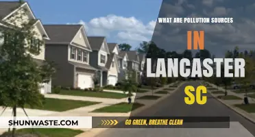 Lancaster's Pollution Sources: A Local Environmental Crisis