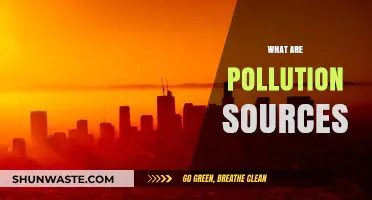 Understanding Major Sources of Pollution
