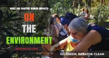 Sustainable Actions: How Humans Positively Transform the Environment