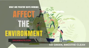 Sustainable Actions: How Humans Positively Impact the Environment