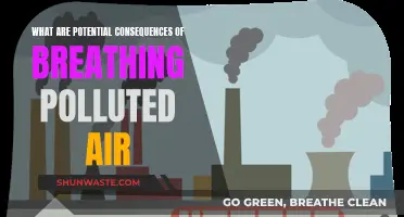 Breathing Polluted Air: Understanding the Devastating Health Impact