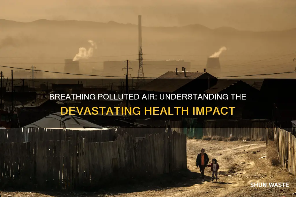 what are potential consequences of breathing polluted air
