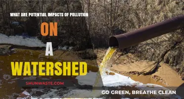 Watershed Pollution: Understanding the Devastating Impacts
