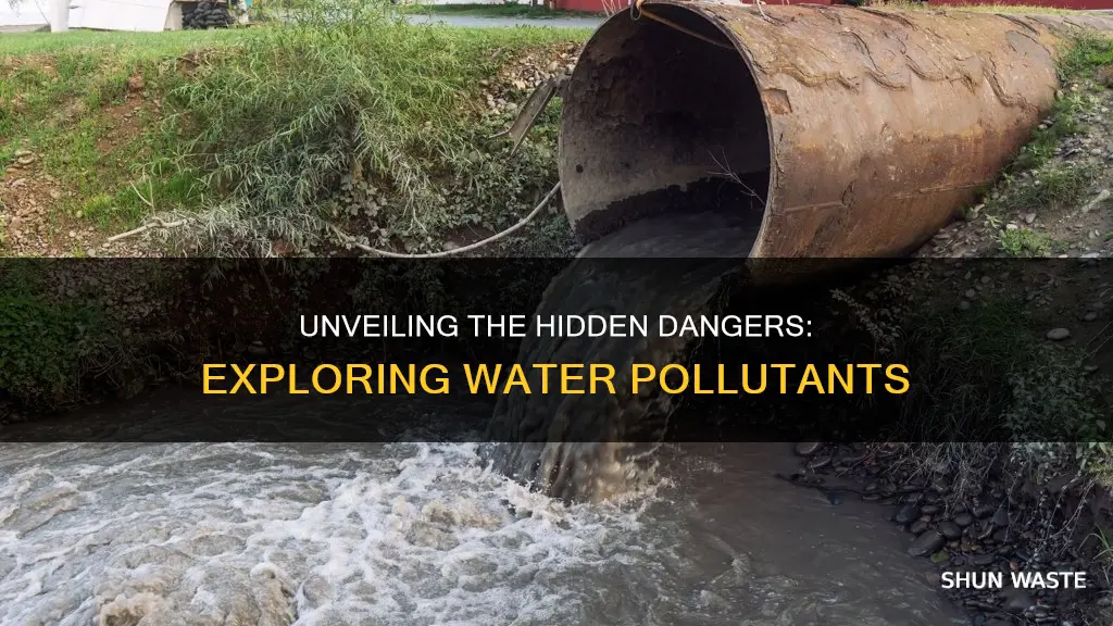 what are potential water pollutants