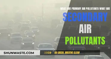 Air Pollutants: Primary, Secondary, and Their Sources