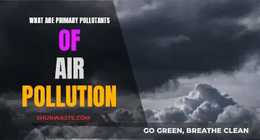 Understanding Air Pollution: Primary Pollutants and Their Sources