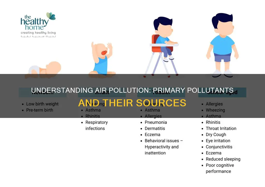 what are primary pollutants of air pollution