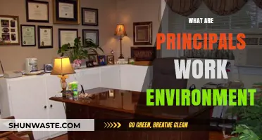 Exploring the Complex Work Environment of School Principals