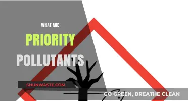 Priority Pollutants: Understanding the Most Dangerous Contaminants