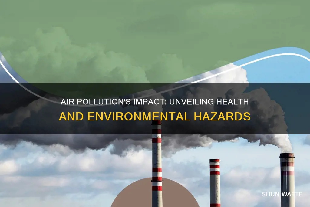 what are problems caused by air pollution