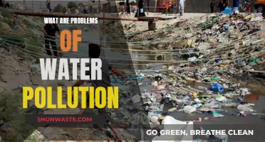 Unveiling the Complex Web: Water Pollution's Many Problems