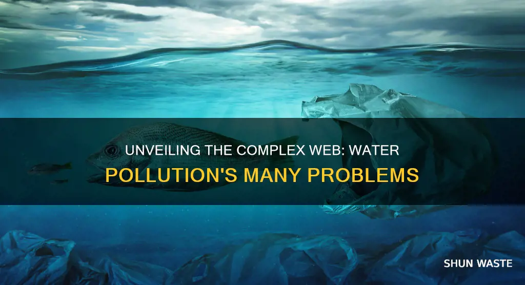 what are problems of water pollution