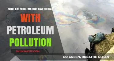 Petroleum Pollution: Understanding the Devastating Impact and Challenges