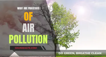 Air Pollution: Understanding the Process and Its Impact