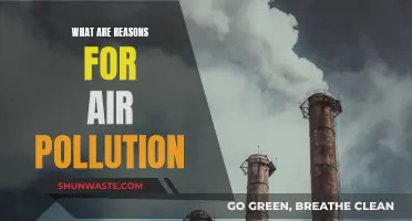 Understanding Air Pollution: Reasons for the Haze