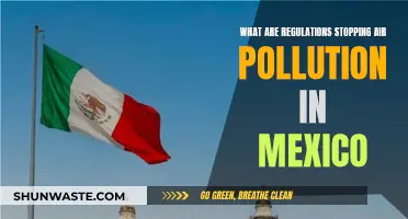 Mexico's Air Pollution: Regulations and Their Impact
