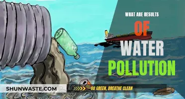 The Devastating Impact: Water Pollution's Dire Consequences