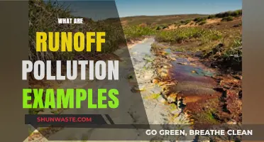 Runoff Pollution: Understanding Its Impact and Examples
