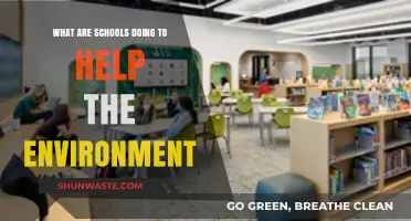 Green Education: How Schools Are Leading Environmental Change Today