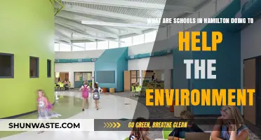Hamilton Schools Lead Eco-Friendly Initiatives for a Greener Future