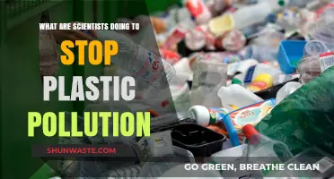 Scientists' Efforts to End Plastic Pollution