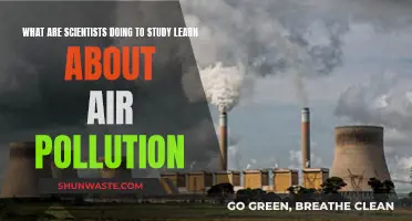 Scientists' Efforts to Understand Air Pollution