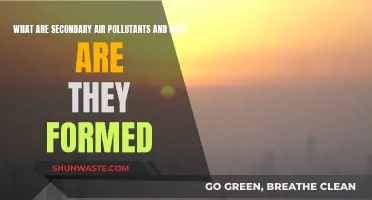 Air Pollution's Secondary Impact: Understanding the Formation
