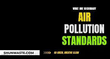 Understanding Secondary Air Pollution Standards and Their Importance