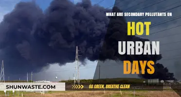 Urban Heat: Secondary Pollutants' Impact
