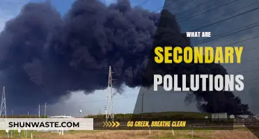 Secondary Pollutions: The Hidden Dangers of Cleaning Up