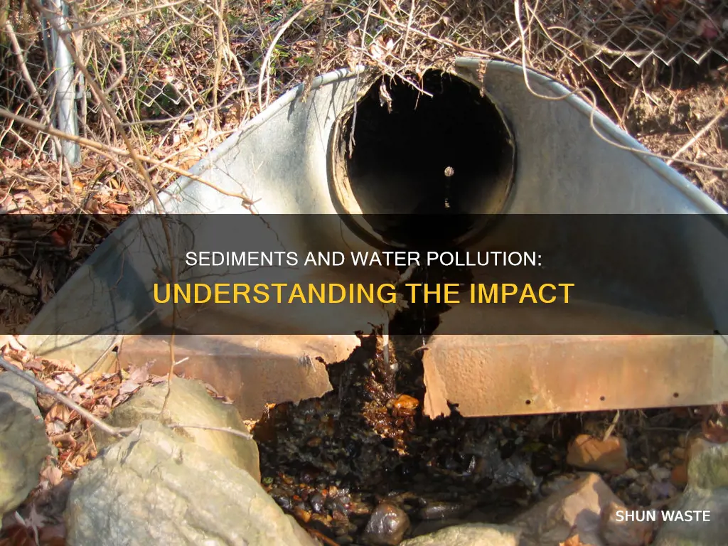 what are sediments water pollution
